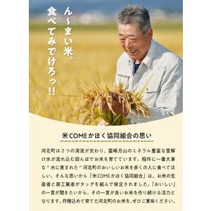 ふるさと納税 【令和6年産米】2024年10月中旬発送 はえぬき20kg（5kg×4袋） 山形県産【米COMEかほく協同組合】　（発送時期が選べる 2024年.. 山形県河北町｜furunavi｜02