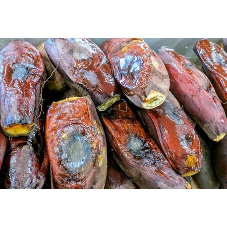 ふるさと納税 2026年3月〜5月発送 先行予約 干し芋工房 風と太陽の小芋焼き芋 1.8kg しっとり甘い おいも いも 芋 茨城県産 国産 無添加 和菓子 .. 茨城県那珂市の画像