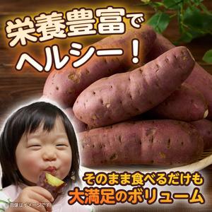 ふるさと納税 【先行予約】富士美芋 生4.5kg さつまいも 甘い 蜜がたっぷり 加熱後糖度30以上 絶品 栄養豊富 期間限定 富士市 やわらか [sf070-0.. 静岡県富士市の画像