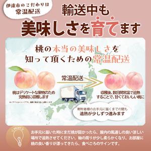 ふるさと納税 【2026年出荷分先行予約】福島県産 シーエックス 約3kg (6〜12玉) サトー農園 大玉 固め 伊達の桃 桃 フルーツ 果物 もも モモ mom.. 福島県伊達市の画像