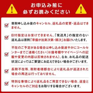 ふるさと納税 【定期便12ヵ月】セコマ レモン 強炭酸水 500ml 24本 1ケース 北海道 千歳製造 北海道千歳市_4