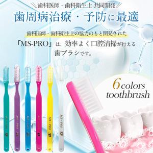 ふるさと納税 A322 MS-PRO歯ブラシ 12本【歯ブラシ はぶらし MS-PRO
