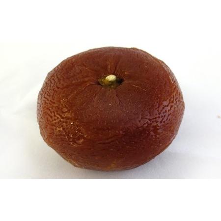 みかん 三ケ日みかん 早生【優品】Sサイズ4kg(48個前後) ミカン 果物 くだもの