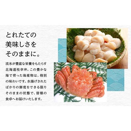 ふるさと納税 オホーツク枝幸産 秋鮭 筋子300g［塩漬け］山上佐藤水産 【 魚貝類 いくら 魚卵 北海道 オホーツク 枝幸 】 北海道枝幸町の画像