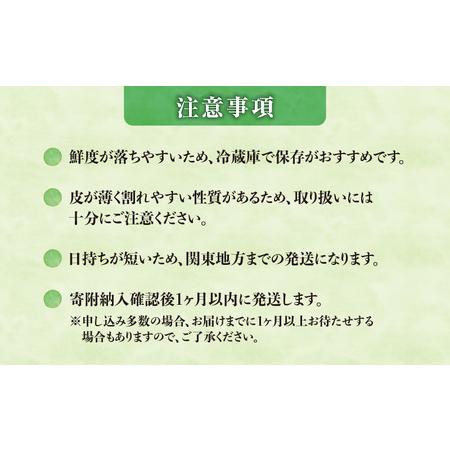 ふるさと納税 【関東地方までの配送】【先行受付】北海道雨竜町産 小玉スイカ 「マダーボール」2玉 赤肉 スムージー スイカ割り 糖度高め 夏 キ.. 北海道雨竜町｜furunavi｜04