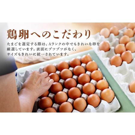 ふるさと納税 鶏卵60個（55個＋補償5個）入り化粧箱 【6ヶ月定期便】 鶏卵 60個 化粧箱入り 卵 生卵 60ヶ たまご タマゴ 玉子 国産 茨城県産 .. 茨城県小美玉市_3