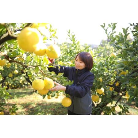 ふるさと納税 浜田農園の土佐文旦5kg贈答用 高知県宿毛市 : ふるなび 