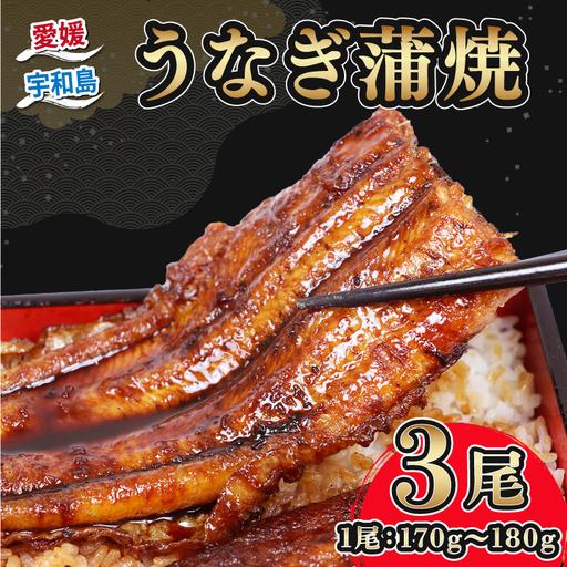 ふるさと納税 うなぎ蒲焼き170g~180g×3尾河野鮮魚店(蒲焼たれ3袋付)[D032-177004] 愛媛県宇和島市