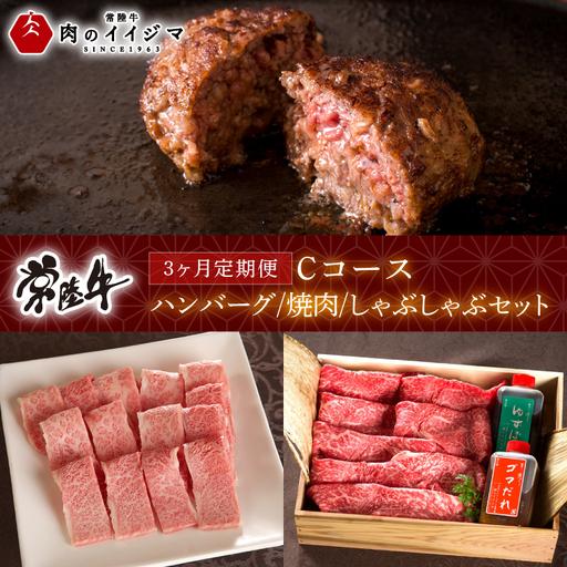 ふるさと納税 3ヶ月 定期便 常陸牛ハンバーグ 20個 Cコース 無添加 肉のイイジマ(DU-105) 茨城県水戸市