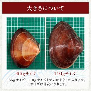 ふるさと納税 ≪千葉ブランド水産物認定品≫ 活け はまぐり 約1.6kg 【 はまぐり 】 千葉県旭市_1