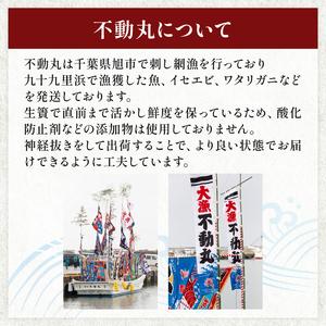 ふるさと納税 ≪千葉ブランド水産物認定品≫ 活け はまぐり 約1.6kg 【 はまぐり 】 千葉県旭市_2