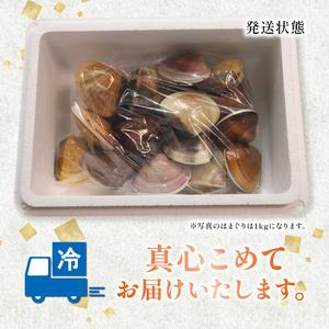 ふるさと納税 ≪千葉ブランド水産物認定品≫ 活け はまぐり 約1.6kg 【 はまぐり 】 千葉県旭市_4
