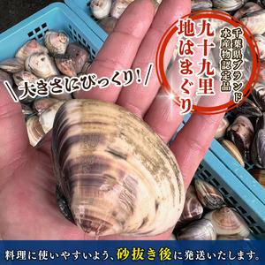 ふるさと納税 活はまぐり 約2kg 【 はまぐり 】 千葉県旭市_1