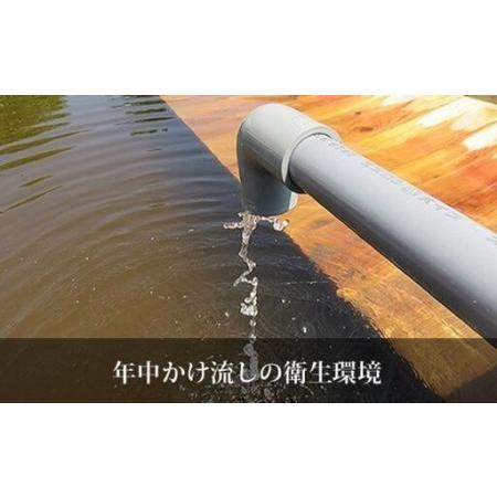 ふるさと納税 モール温泉「兜すっぽん」鍋　青森シャモロックスープ味2セット（すっぽん肉入りスープ2）　【02408-0024】 青森県東北町_3