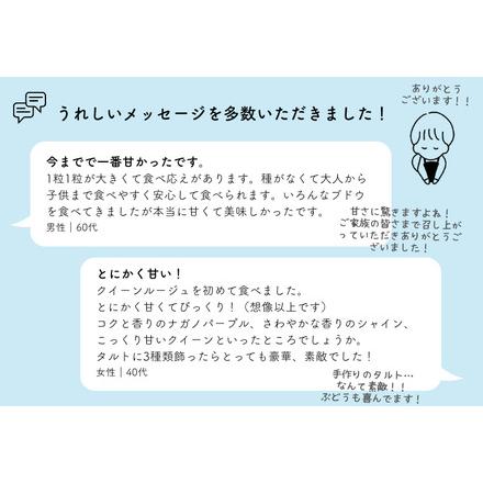 ふるさと納税 TK08 ぶどう クイーンルージュR  約2kg／2026年9月下旬から10月中 配送予定 // 稀少 新品種 長野県 南信州 高糖度 葡萄 クイ.. 長野県松川町の画像