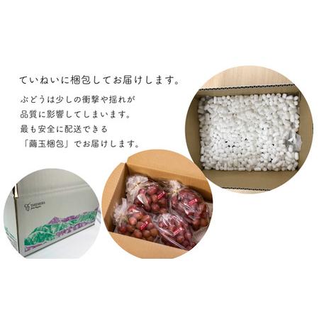 ふるさと納税 TK08 ぶどう クイーンルージュR  約2kg／2026年9月下旬から10月中 配送予定 // 稀少 新品種 長野県 南信州 高糖度 葡萄 クイ.. 長野県松川町の画像