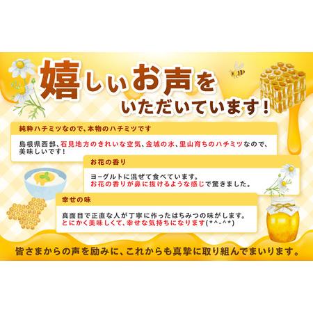 ふるさと納税 水のきれいな浜田市金城町産「いわみの里山 純粋はちみつ」500g×2本【184_1906】 島根県浜田市の画像
