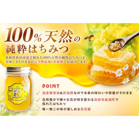 ふるさと納税 水のきれいな浜田市金城町産「いわみの里山 純粋はちみつ」500g×2本【184_1906】 島根県浜田市の画像