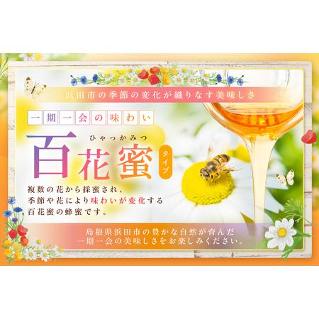 ふるさと納税 水のきれいな浜田市金城町産「いわみの里山 純粋はちみつ」500g×2本【184_1906】 島根県浜田市の画像