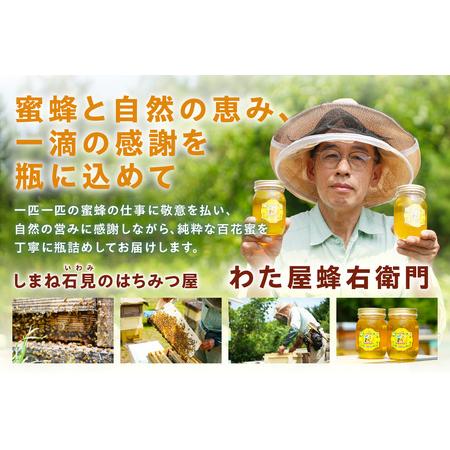 ふるさと納税 水のきれいな浜田市金城町産「いわみの里山 純粋はちみつ」500g×2本【184_1906】 島根県浜田市の画像