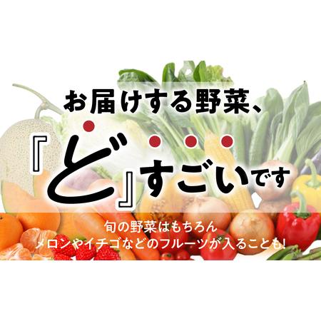 ふるさと納税 旬の野菜 フルーツ 詰め合わせ 〜 12品 野菜ソムリエ 厳選 野菜セット | メロン いちご トマト アスパラガス トウモロコシ 玉ねぎ .. 愛知県田原市｜furunavi｜02