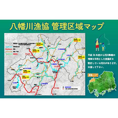 ふるさと納税 ＜2024年年券＞八幡川漁業協同組合管内　渓流釣り遊漁証　一般（高校生以上） YA103_001 広島県北広島町｜furunavi｜03