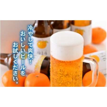 ふるさと納税 敦賀東浦みかん「914」ビール 310ml × 12本[022-b001