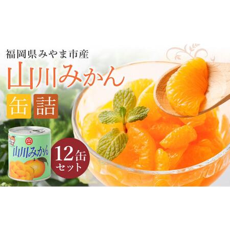 ふるさと納税 A270 山川みかん缶詰 12缶セット 【2026年1月下旬以降