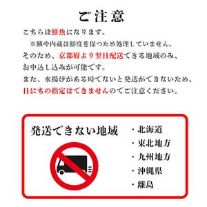 ふるさと納税 【12月から3月のみ発送】 漁連直送！！ 特選京鰆3kg以上 鮮魚 1尾 朝獲れ 直送 天然 新鮮 鮮度抜群 冷蔵 ナマモノ 寒さわら 京都 .. 京都府舞鶴市｜furunavi｜05