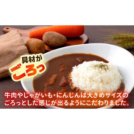 ふるさと納税 F・マリノスKURIHAMAカレー 220ｇ×20個セット【久里浜商店会協同組合】 [AKCA003] 神奈川県横須賀市の画像