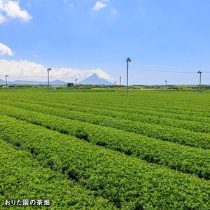 ふるさと納税 C3-22126／【3回定期】かごんま緑茶 280ml×48本 ペットボトル 鹿児島 知覧茶葉 使用 天然アルカリ温泉水 財寶温泉 抽出 鹿児島県垂水市の画像