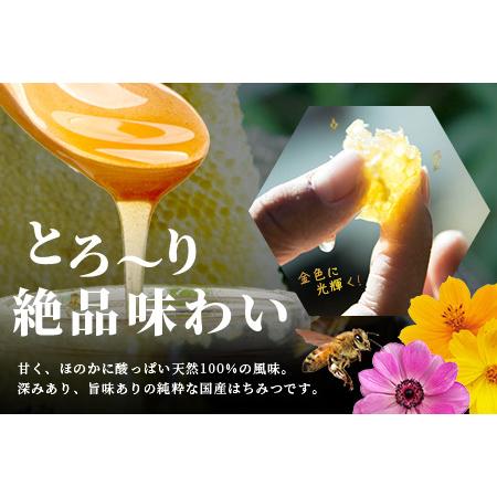 ふるさと納税 【無添加 非加熱】標高800m たっちゃんのこだわり蜂蜜【250g×2本】送料無料 宮崎県 椎葉村 秘境 蜂蜜 はちみつ ハチミツ みつ.. 宮崎県椎葉村の画像