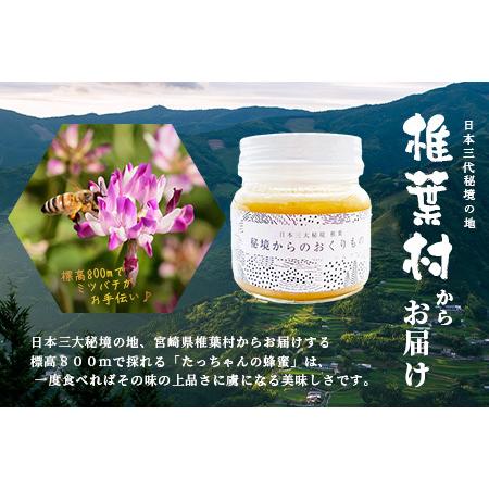 ふるさと納税 【無添加 非加熱】標高800m たっちゃんのこだわり蜂蜜【250g×2本】送料無料 宮崎県 椎葉村 秘境 蜂蜜 はちみつ ハチミツ みつ.. 宮崎県椎葉村の画像