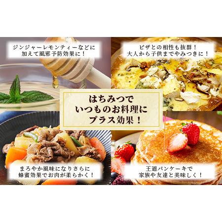 ふるさと納税 【無添加 非加熱】標高800m たっちゃんのこだわり蜂蜜【250g×2本】送料無料 宮崎県 椎葉村 秘境 蜂蜜 はちみつ ハチミツ みつ.. 宮崎県椎葉村の画像