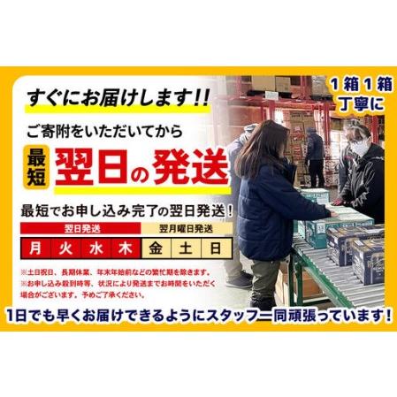 ふるさと納税 《最短翌日発送》【定期便4ヶ月】サントリー オールフリー ＜350ml×24缶＞ 群馬県明和町_1