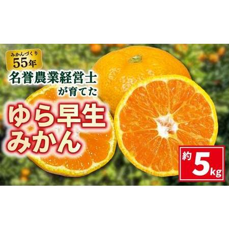 ふるさと納税 [早期予約10月発送] ゆら 早生 みかん 約 5kg [ はら みかん 農園 ] 柑橘 オレンジ 沼津 静岡 フルーツ 直送 静岡県沼津市