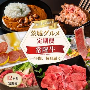 ふるさと納税 12ヶ月 定期便 肉 高級肉 常陸牛 Aコース 肉のイイジマ(DU-111) 茨城県水戸市