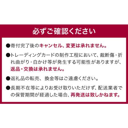 ふるさと納税 京都市美術館開館90周年記念展「村上隆 もののけ 京都」展覧会入場券1枚　村上隆による京都市ふるさと納税限定「COLLECTIBLE TRADI.. 京都府京都市｜furunavi｜02