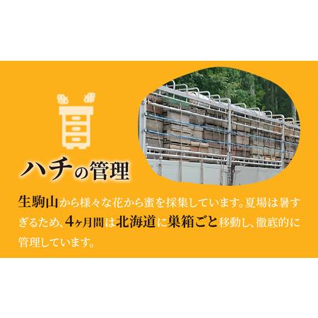 人気 おすすめ ふるさと納税 生駒で採れたはちみつ「山桜」 500g 自然