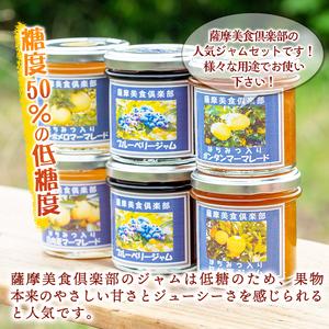 ふるさと納税 isa553 《数量限定》5種のバラエティージャム食べ比べセット(計12個・ブルーベリー×4、紅甘夏×2、ボンタン×2、サ.. 鹿児島県伊佐市_2