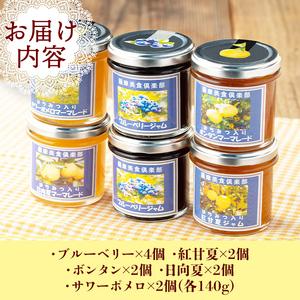 ふるさと納税 isa553 《数量限定》5種のバラエティージャム食べ比べセット(計12個・ブルーベリー×4、紅甘夏×2、ボンタン×2、サ.. 鹿児島県伊佐市_3