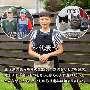 ふるさと納税 isa553 《数量限定》5種のバラエティージャム食べ比べセット(計12個・ブルーベリー×4、紅甘夏×2、ボンタン×2、サ.. 鹿児島県伊佐市_4