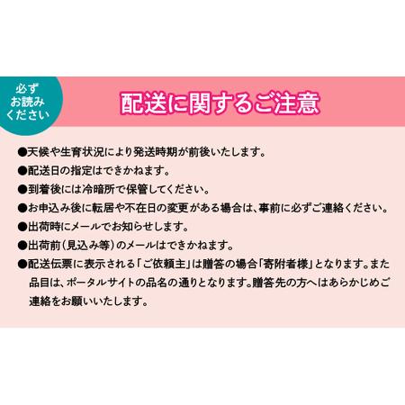 ふるさと納税 葡萄の一大産地！笛吹市産シャインマスカット2kg 167-012 山梨県笛吹市｜furunavi｜03