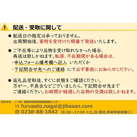 ふるさと納税 【2024年7月〜12月発送分先行受付】【定期便4回】山形旬の果物4選（すいか/シャインマスカット/ラ・フランス/りんご）_H192(R6) 山形県長井市｜furunavi｜03