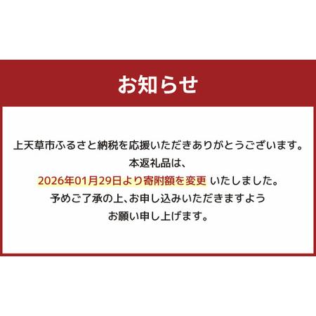 ふるさと納税 【メガネ】Miko エコバッグ 熊本県上天草市_2