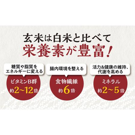 ふるさと納税 白川村産 寝かせ玄米もち麦ごはん 36個 パックごはん パックご飯 パックライス レトルト 白川郷 こしひかり コシヒカリ 訳あり 訳.. 岐阜県白川村｜furunavi｜04