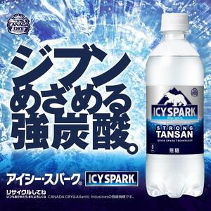 ふるさと納税 【11ヶ月定期便】【強炭酸】 カナダドライ(CANADA DRY) コカ・コーラ アイシー・スパーク 500ml×24本 ※離島への配送不可｜強.. 茨城県土浦市の画像
