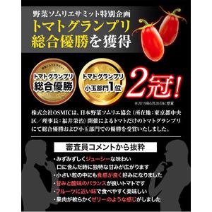 ふるさと納税 トマト とまと 高糖度トマト OSMICトマト 2kg 甘い トマト フルーツトマト ミニトマト 野菜 フルーツ ハウス フルーツ感覚 甘い お.. 岡山県笠岡市｜furunavi｜02