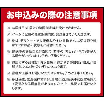 ふるさと納税 【先行予約】岡山の白桃 等級 ロイヤル 約1.5kg(5〜6玉) 清水白桃 おかやま夢白桃 白鳳 白麗 なつおとめ 晴れの国 岡山農業協同組.. 岡山県浅口市｜furunavi｜05