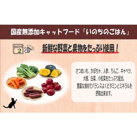 ふるさと納税 【定期便】国産無添加 キャットフード 500g×全3回「いのちのごはん」タンパク質 66％以上配合タイプ【毎月配送コース】 大阪府泉佐野市